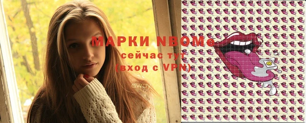 стаф Абинск