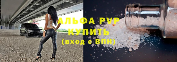 стаф Абинск