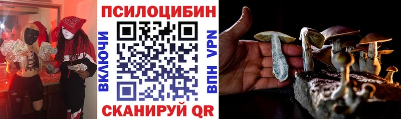 Галлюциногенные грибы MAGIC MUSHROOMS  наркота  Северодвинск 